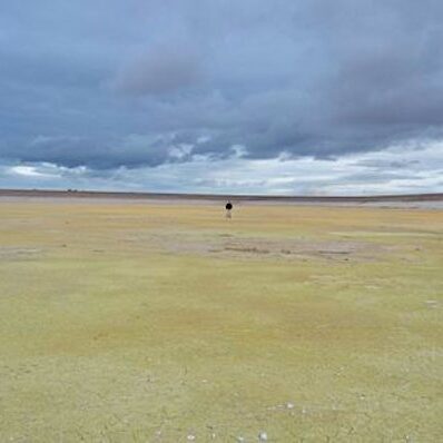 kosmol Komsol®SEAL Wasser auffangbecken erdbeben landwirtschaft bassin