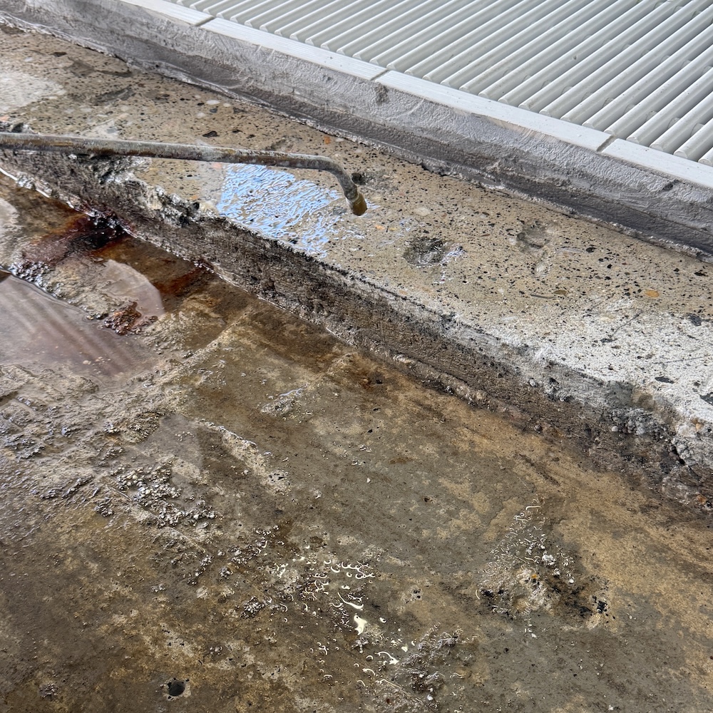 komsol SEAL Schwimmbecken Schwimmbad SUCON Ingenieurbau Beton Versiegeln Spezialisten